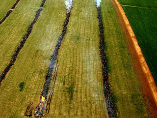 O cultivo de soja já consumiu 80% de todo o cerrado brasileiro. Imagem: Leonardo Freitas via Open Democracy (CC BY-SA 2.0).