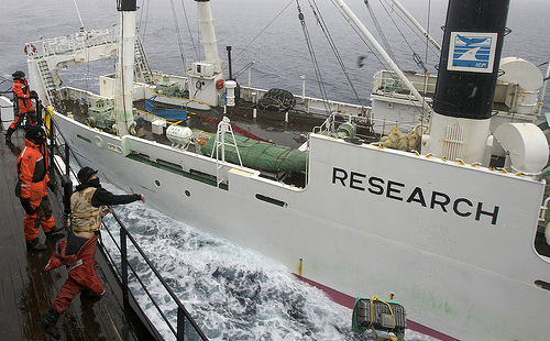 16 de dezembro de 2008. Sea Sheperd encontra um baleeiro japonês. Foto por guano, no Flickr