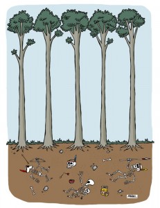 Charge: eucaliptos crescem em solo antes petencentes a índios, agora mortos