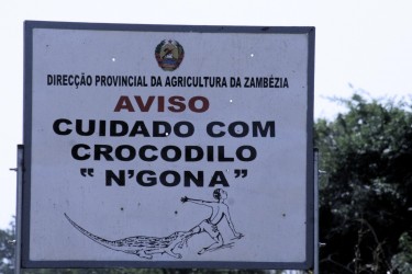 Placa de aviso na Zambézia "Cuidado com crocodilo N'Gona" Imagem do Jornal @Verdade.