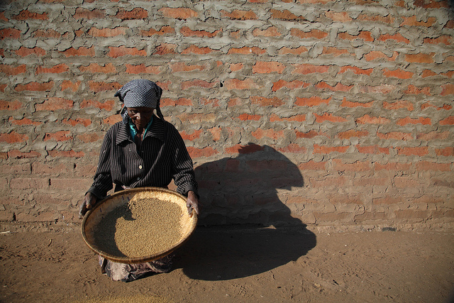 A maioria da população de Moçambique vive no campo. O país é um dos mais empobrecidos do mundo, com 70% dos habitantes abaixo da linha da pobreza. Imagem: The International Livestock Research Institute (ILRI) no Flickr (CC BY-NC-SA 2.0)