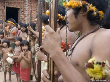 Comunidade Awá de Tiracambu, na fronteira da linha de comboio de Carajás, Brasil. © Fiona Watson/Survival