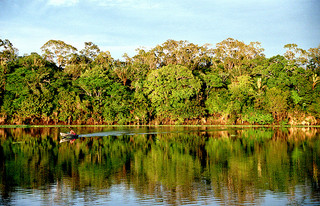 Amazônia, Rio Urubu. Foto de André Deak no Flickr (Creative Commons BY 2.0)