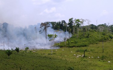 Deforestation in the Amazon. Photo by Bruno Taitson of WWF-Brasil
