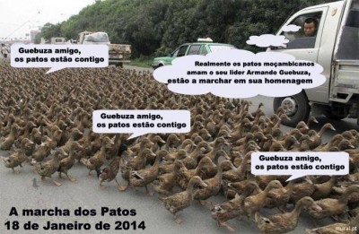 The image of the "March of the Ducks" was widely shared online. It reads: "Guebuza my friend, ducks are with you" and "Mozambican ducks really love their leader Armando Guebuza, they're marching in his honour". The image is a parody of the reason the Mozambique's President Armando Guebuza has given the press for his economic success: he supposedly became rich by selling ducks.
