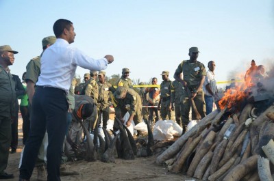 Incineração de cornos de marfim em Moçambique